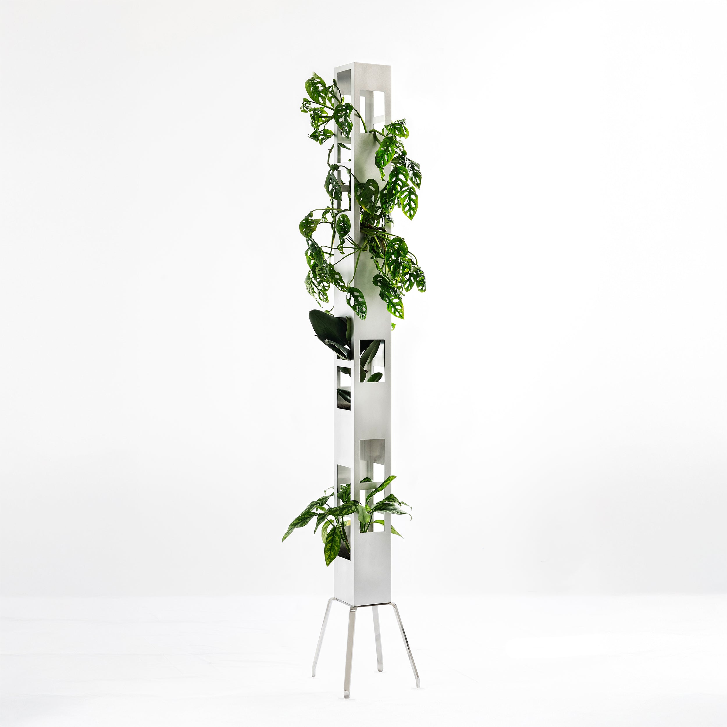Tower Plant Rectangle