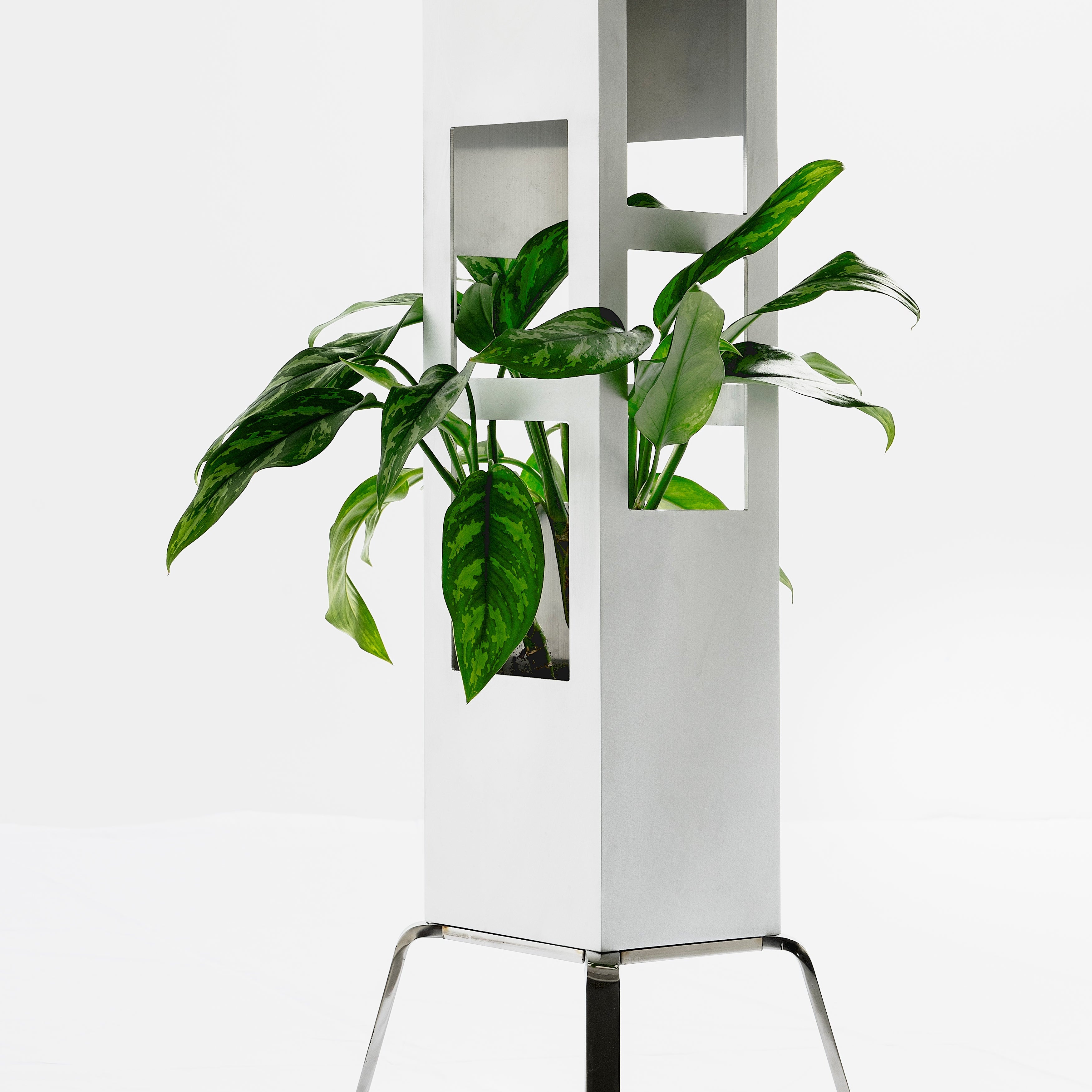 Tower Plant Rectangle