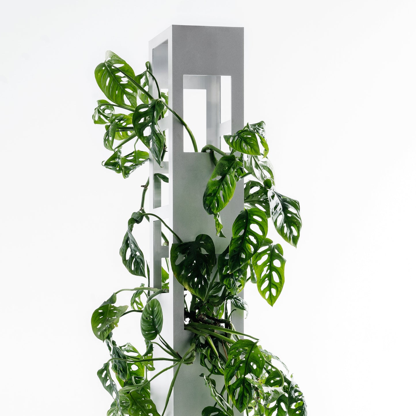 Tower Plant Rectangle